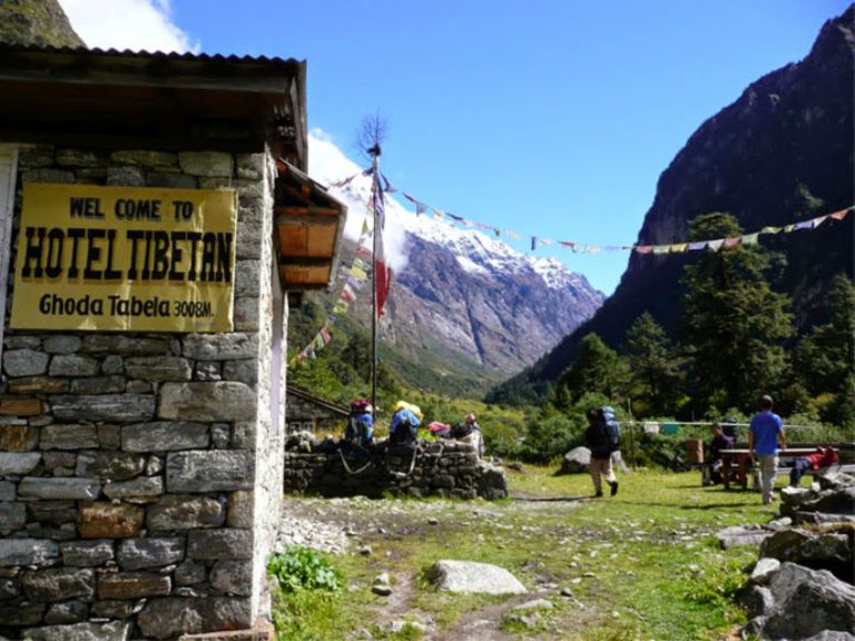 Rest Stop at Ghoda Tabela