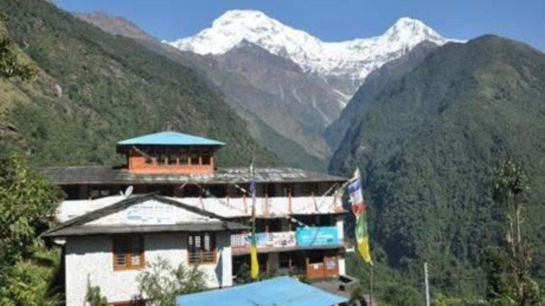 Views of Annapurna South & Hiunchuli from Chhomrong