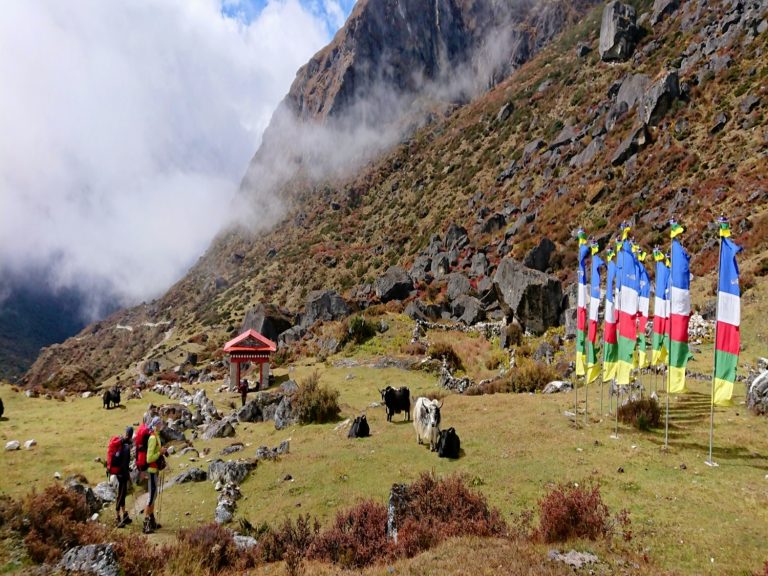 Flags and yaks